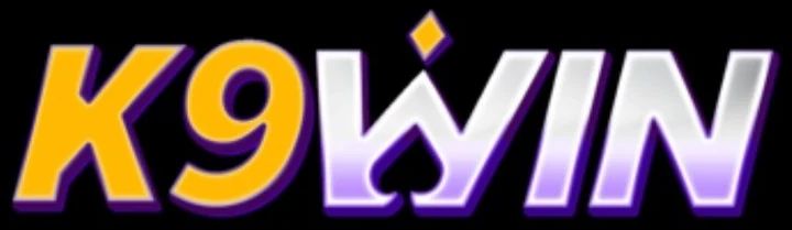 K9Win logosu